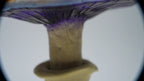 SPY26S6 • Handmade Magic Mushroom Decor on Thrifted Hexagon Glass Base (1 of 2)