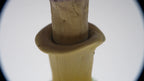 SPY26S6 • Handmade Magic Mushroom Decor on Thrifted Hexagon Glass Base (1 of 2)