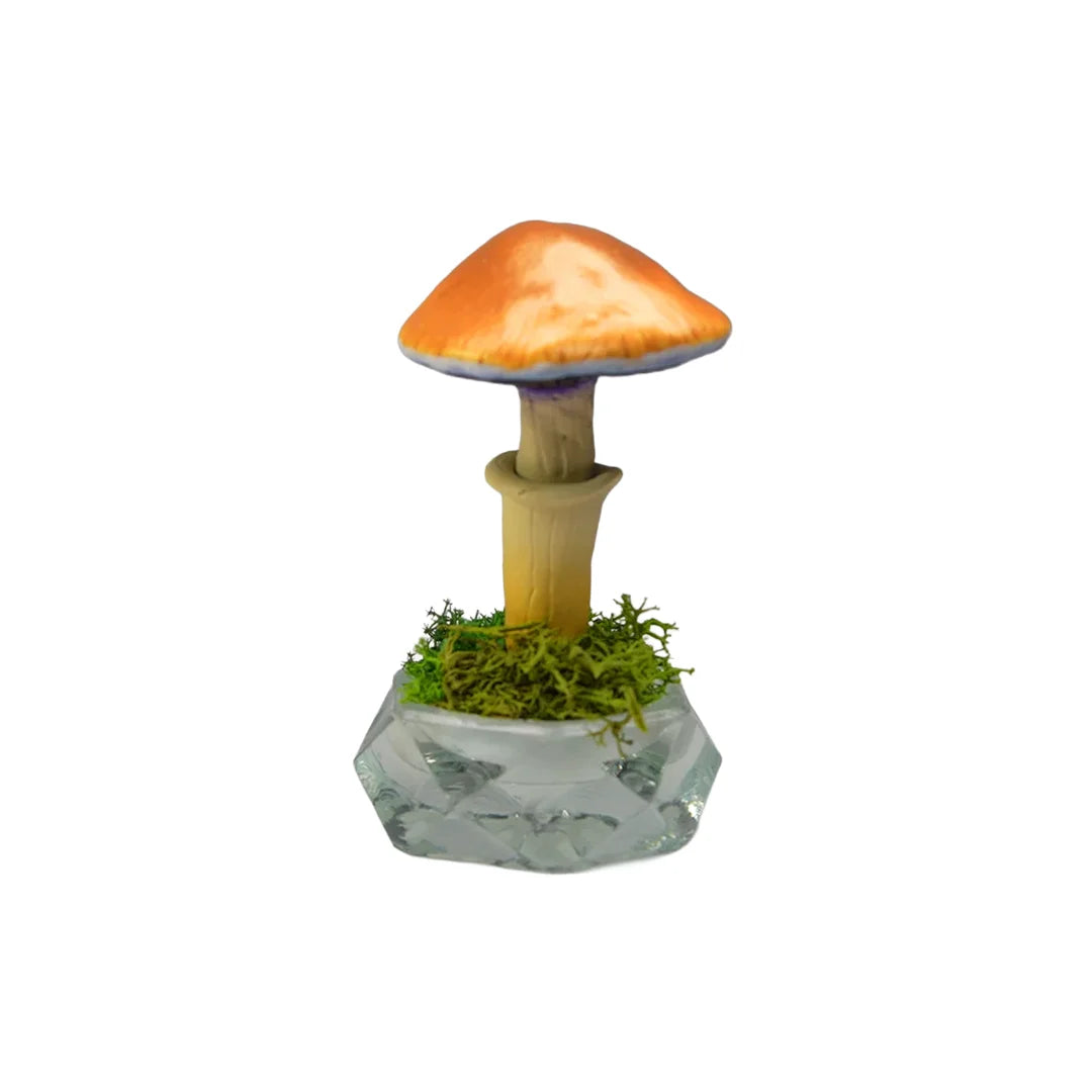 SPY26S6 • Handmade Magic Mushroom Decor on Thrifted Hexagon Glass Base (1 of 2)