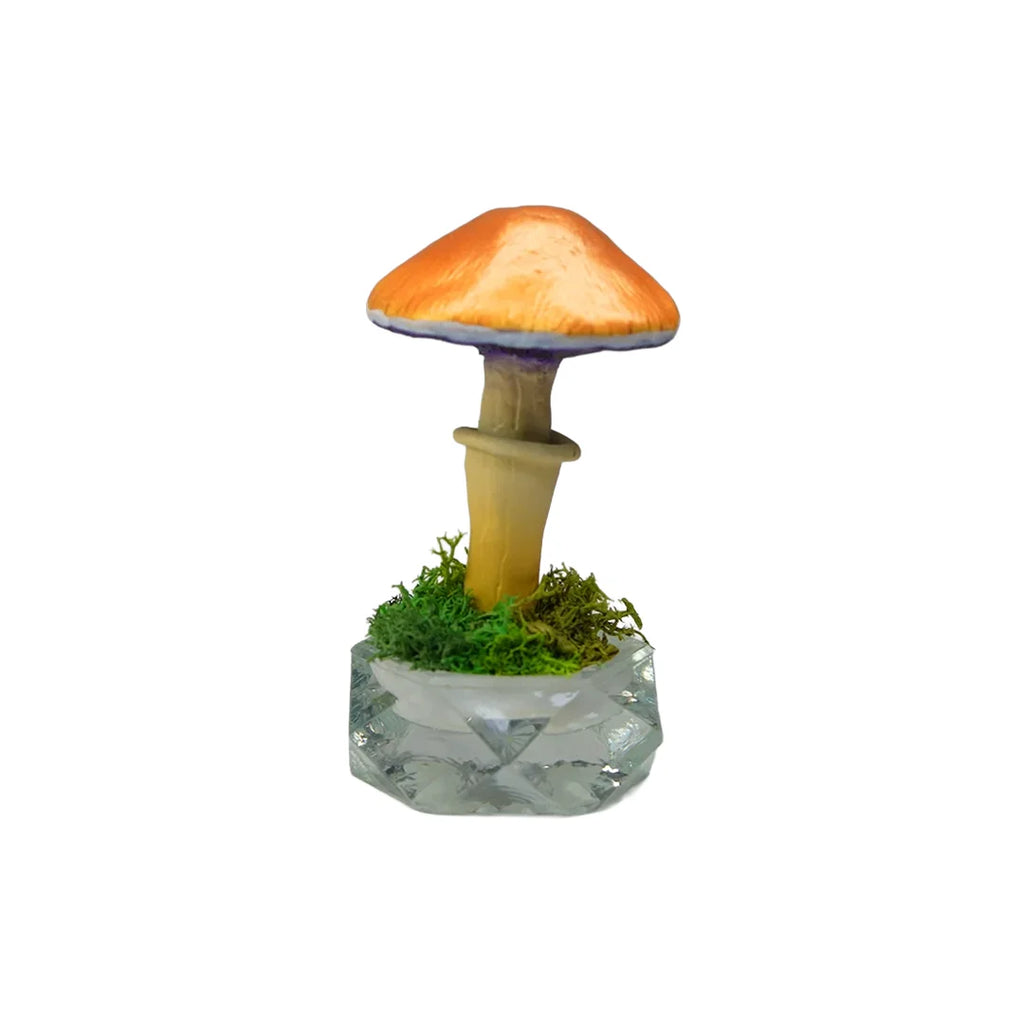 SPY26S6 • Handmade Magic Mushroom Decor on Thrifted Hexagon Glass Base (1 of 2)