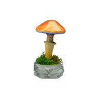 SPY26S6 • Handmade Magic Mushroom Decor on Thrifted Hexagon Glass Base (1 of 2)