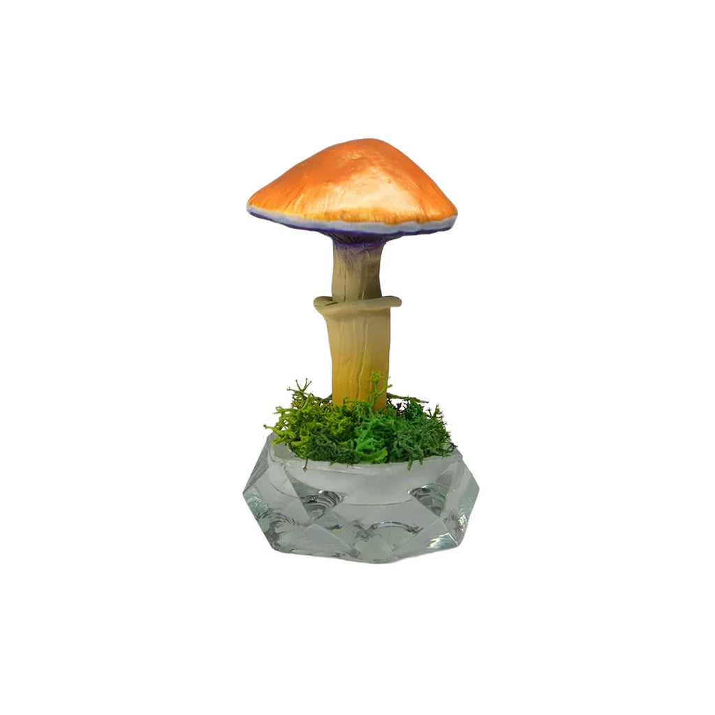 SPY26S6 • Handmade Magic Mushroom Decor on Thrifted Hexagon Glass Base (1 of 2)