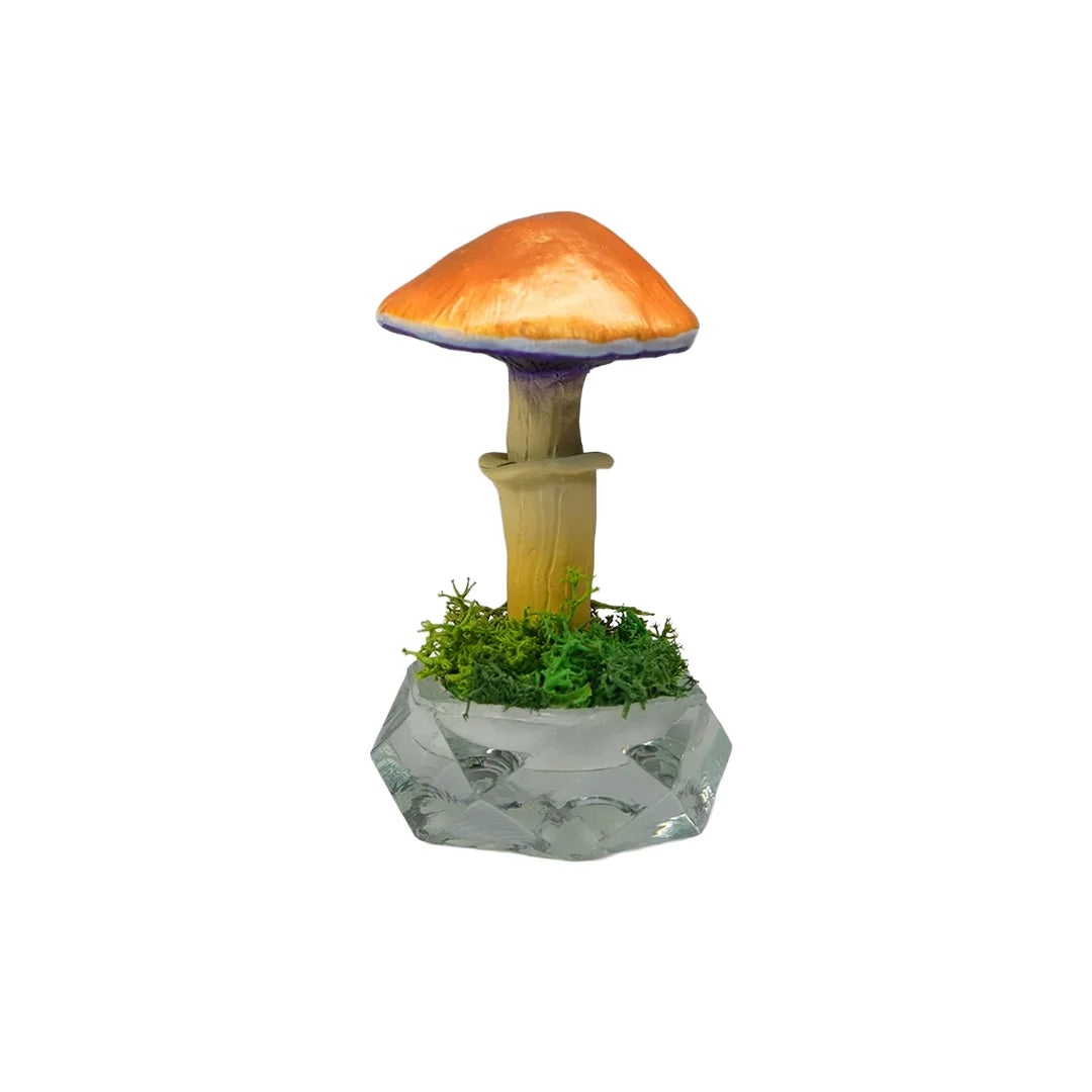 SPY26S6 • Handmade Magic Mushroom Decor on Thrifted Hexagon Glass Base (1 of 2)
