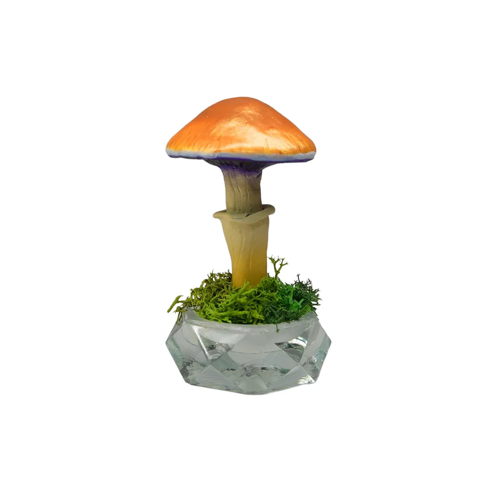 SPY26S6 • Handmade Magic Mushroom Decor on Thrifted Hexagon Glass Base (1 of 2)