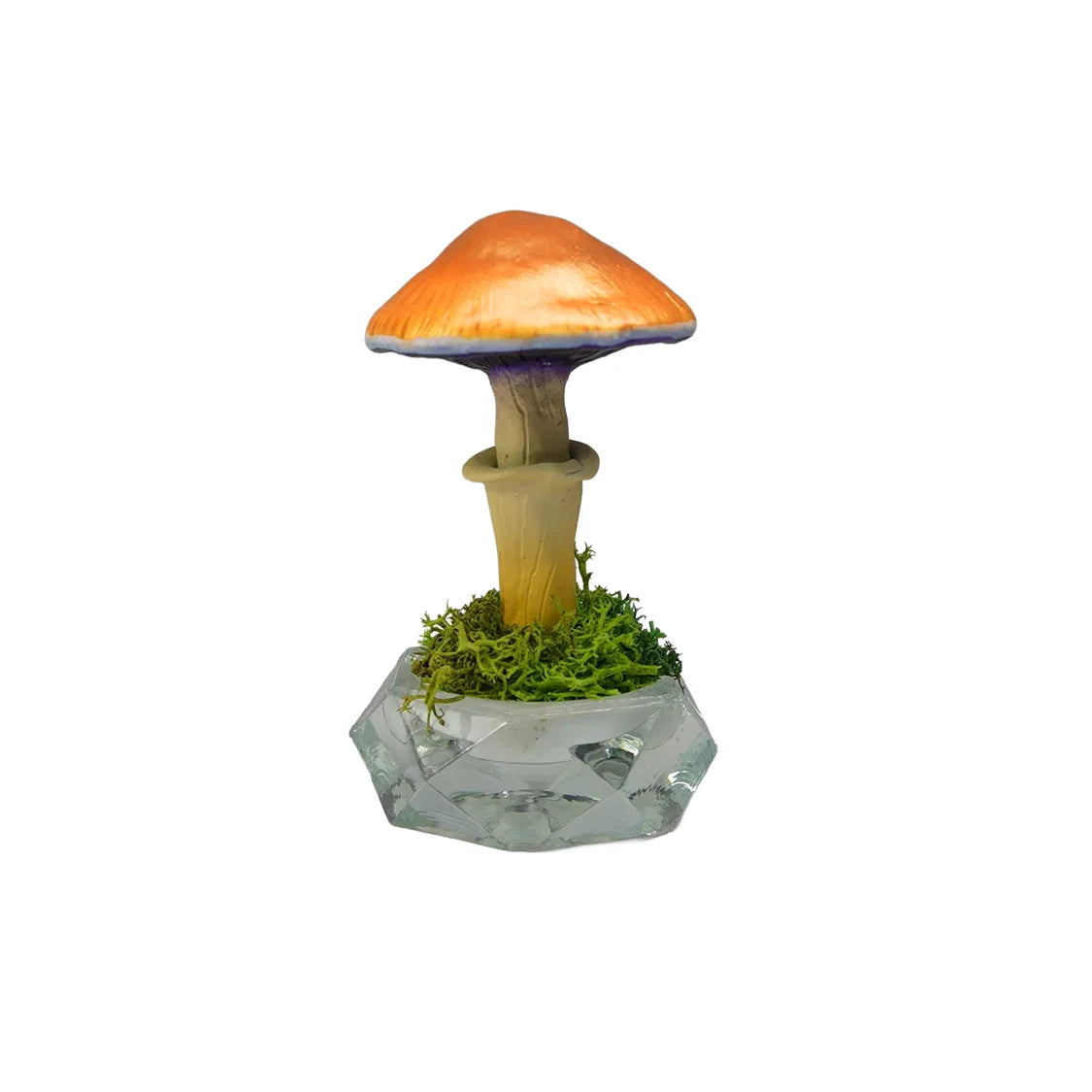 SPY26S6 • Handmade Magic Mushroom Decor on Thrifted Hexagon Glass Base (1 of 2)