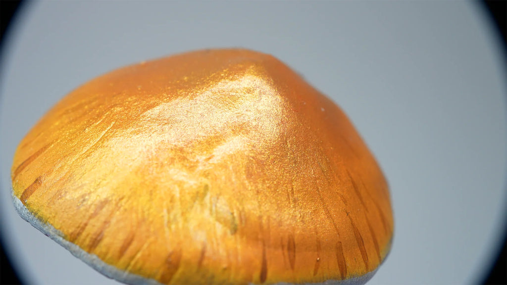 SPY26S10 • Handmade Magic Mushroom Decor Art on Thrifted Glass Base
