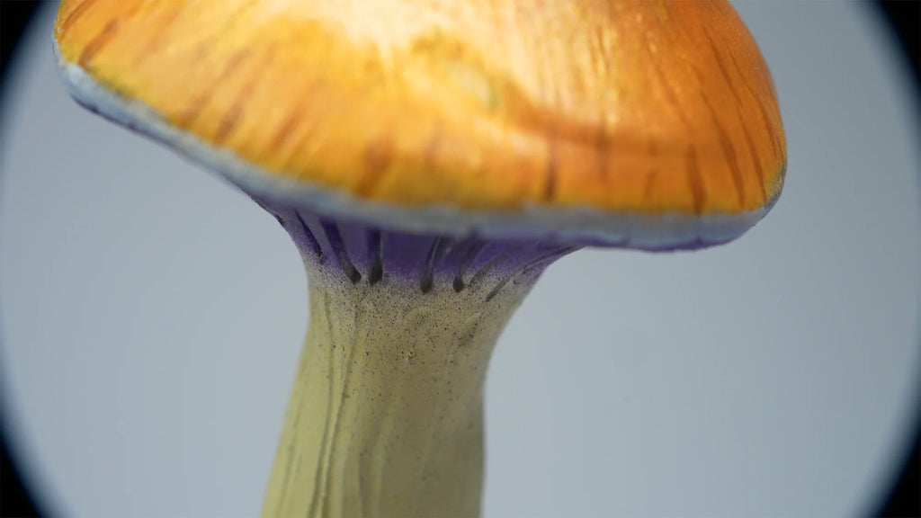 SPY26S10 • Handmade Magic Mushroom Decor Art on Thrifted Glass Base