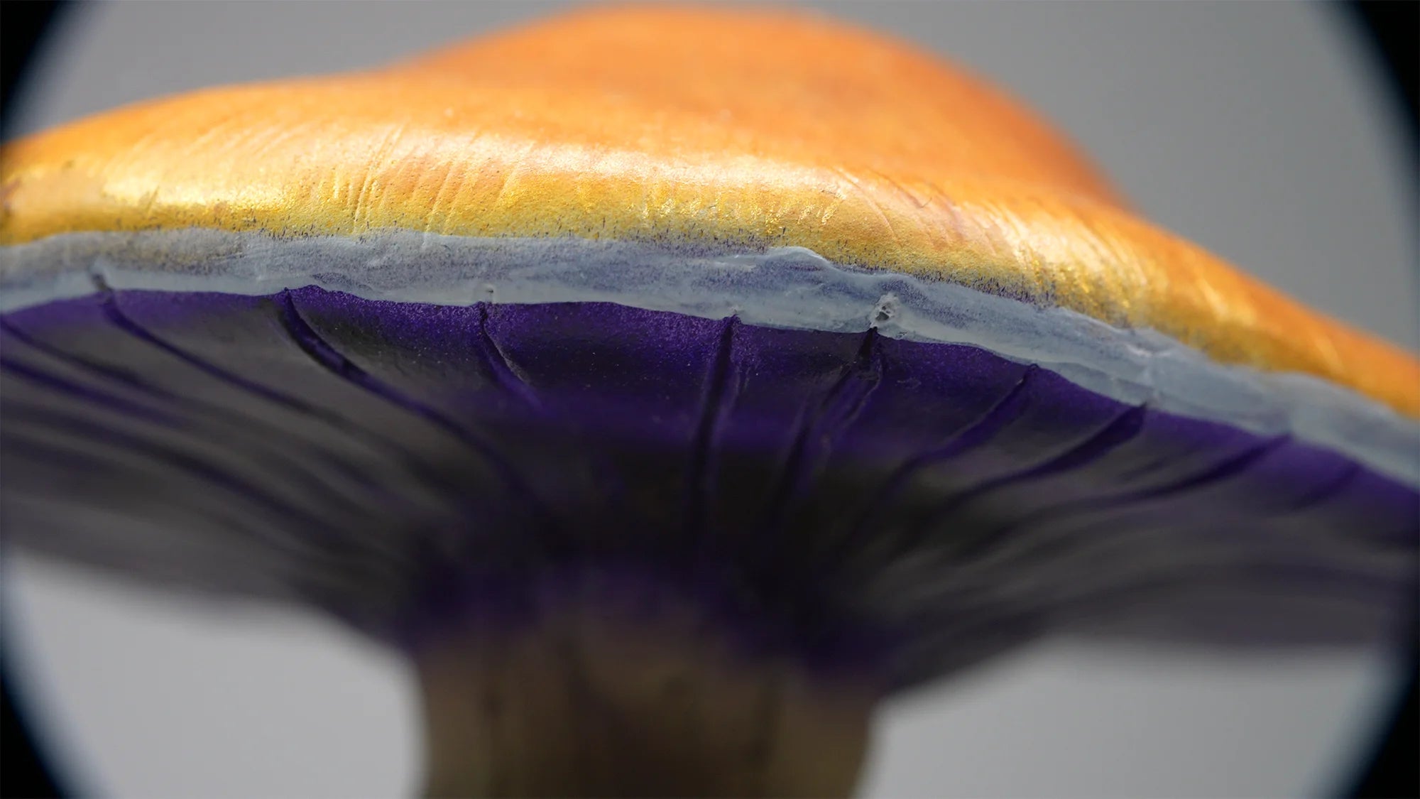 SPY26M1 • Handmade Magic Mushroom Decor on Thrifted Base
