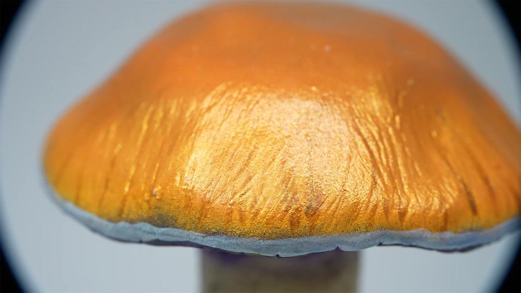 SPY26S9 • Handmade Magic Mushroom Decor Art on Thrifted Glass Base