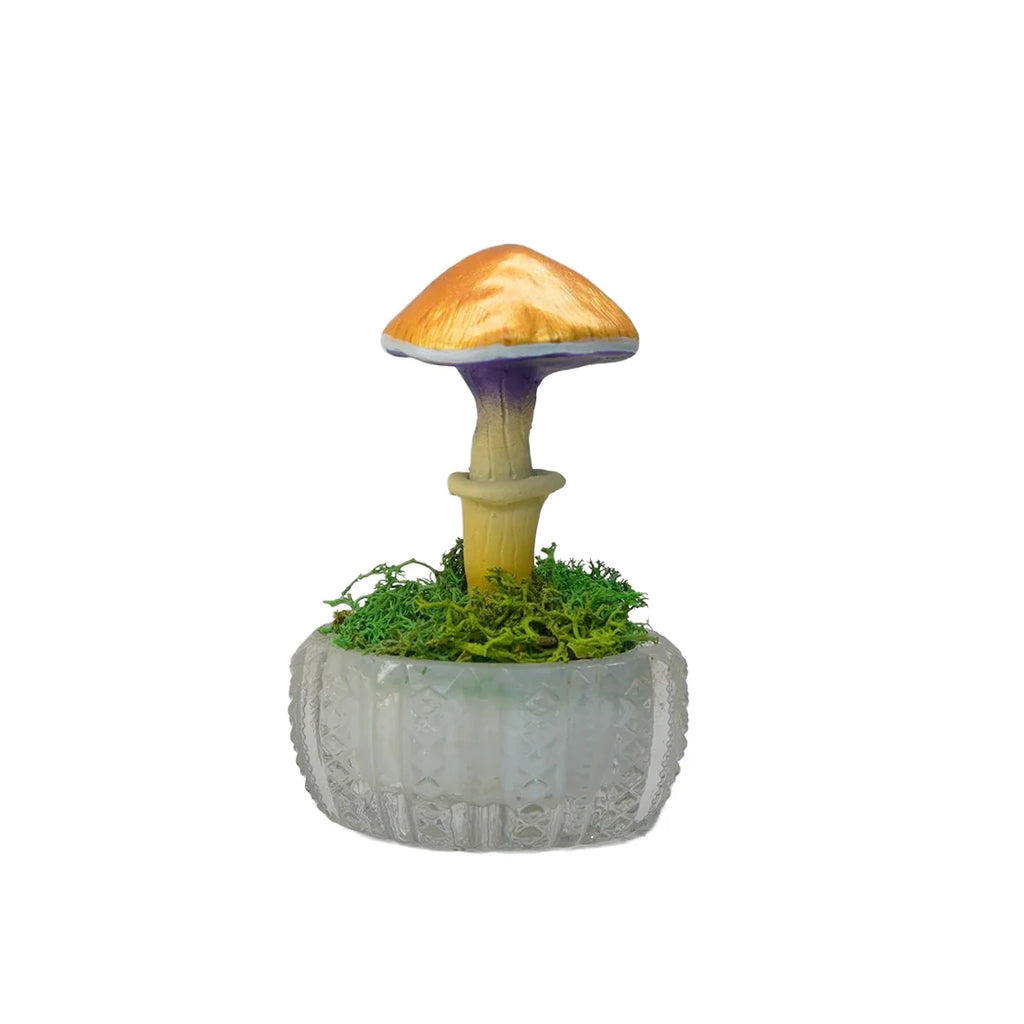 SPY26S3 • Handmade Magic Mushroom Decor on Thrifted Glass Oval Base (1 of 2)