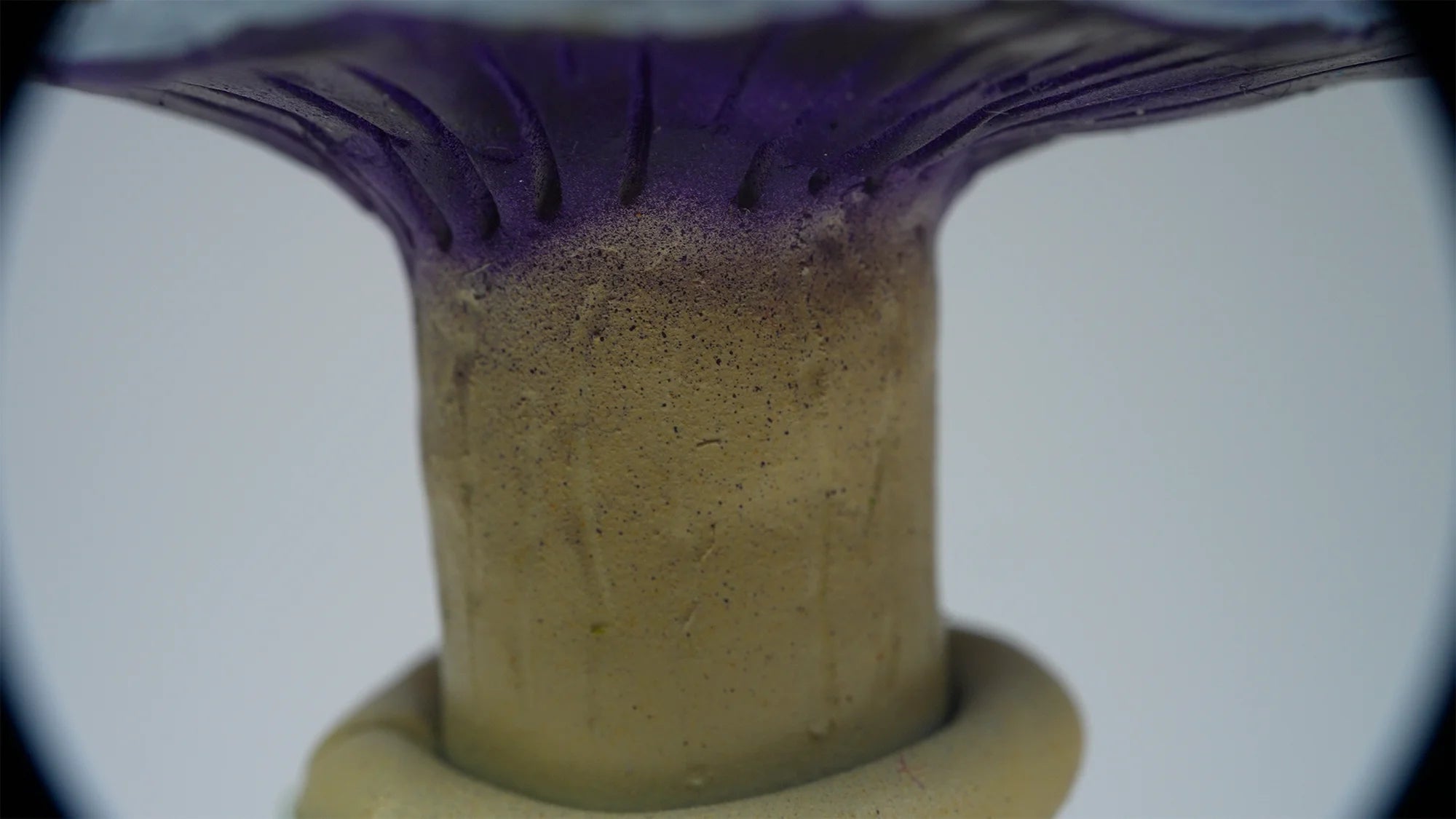 SPY26S9 • Handmade Magic Mushroom Decor Art on Thrifted Glass Base
