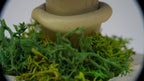 SPY26S9 • Handmade Magic Mushroom Decor Art on Thrifted Glass Base