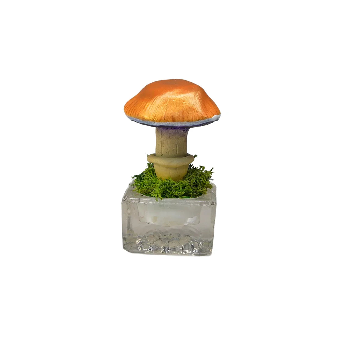 SPY26S9 • Handmade Magic Mushroom Decor Art on Thrifted Glass Base
