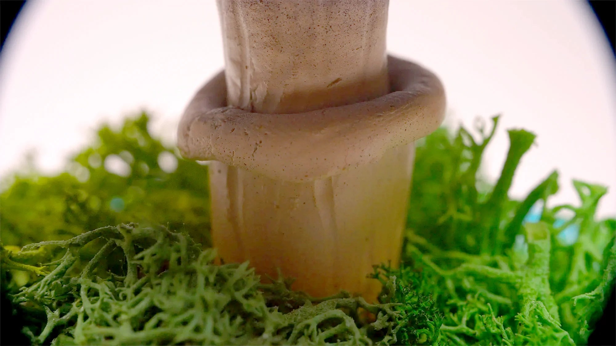 SPY26M3 • Handmade Magic Mushroom Decor Art on Thrifted Glass Base (1 of 2)