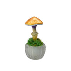 SPY26S3 • Handmade Magic Mushroom Decor on Thrifted Glass Oval Base (1 of 2)