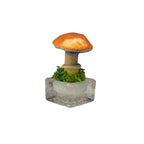 SPY26S9 • Handmade Magic Mushroom Decor Art on Thrifted Glass Base