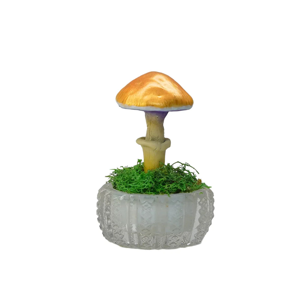 SPY26S3 • Handmade Magic Mushroom Decor on Thrifted Glass Oval Base (1 of 2)