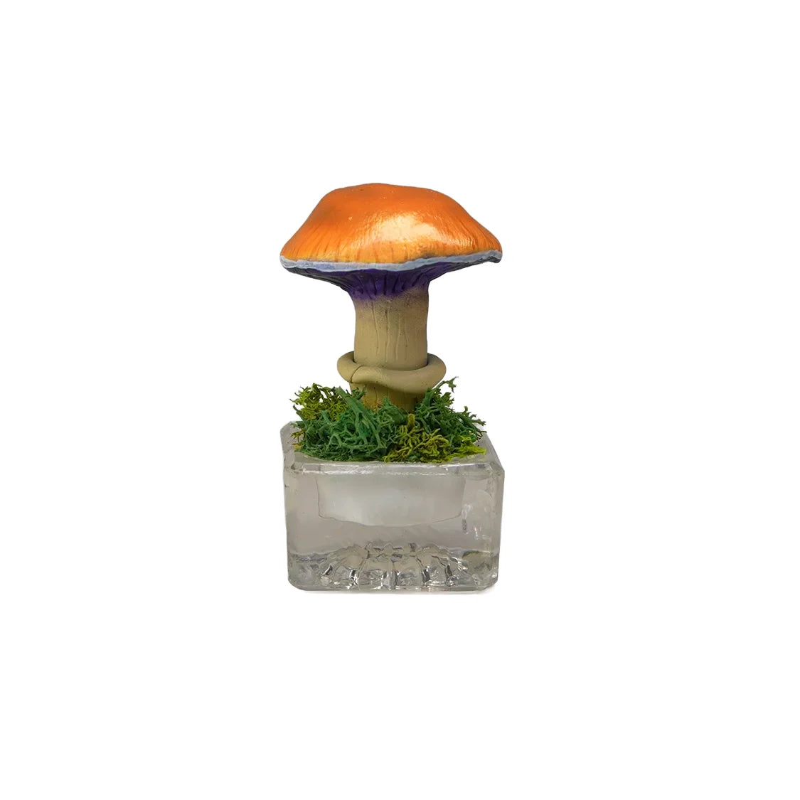 SPY26S9 • Handmade Magic Mushroom Decor Art on Thrifted Glass Base
