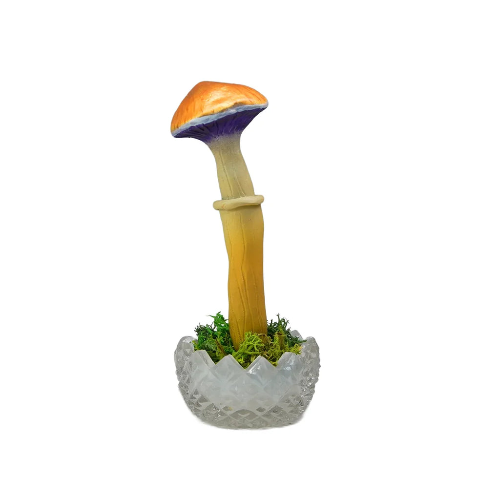 SPY26S10 • Handmade Magic Mushroom Decor Art on Thrifted Glass Base