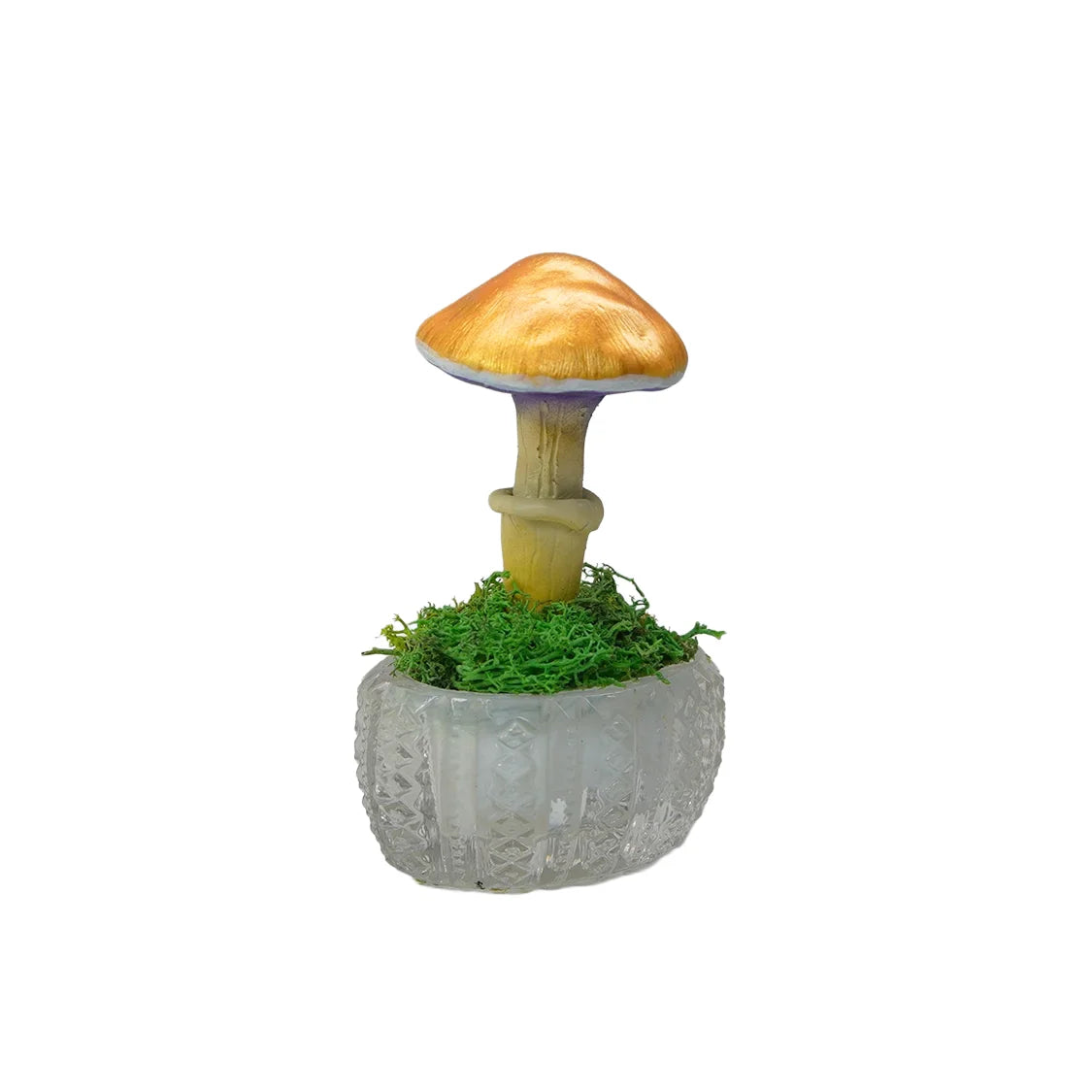 SPY26S3 • Handmade Magic Mushroom Decor on Thrifted Glass Oval Base (1 of 2)