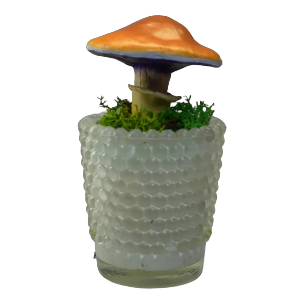 SPY26M1 • Handmade Magic Mushroom Decor on Thrifted Base
