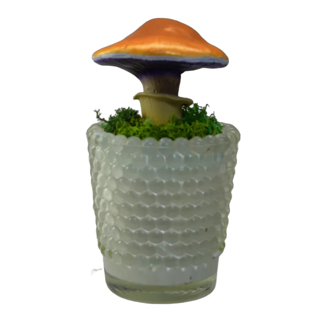SPY26M1 • Handmade Magic Mushroom Decor on Thrifted Base