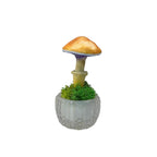 SPY26S3 • Handmade Magic Mushroom Decor on Thrifted Glass Oval Base (1 of 2)