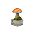 SPY26S9 • Handmade Magic Mushroom Decor Art on Thrifted Glass Base