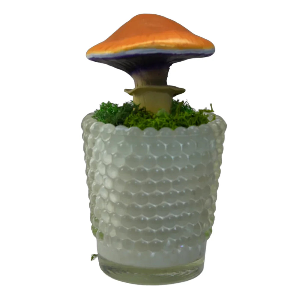 SPY26M1 • Handmade Magic Mushroom Decor on Thrifted Base