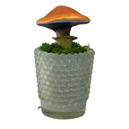 SPY26M1 • Handmade Magic Mushroom Decor on Thrifted Base