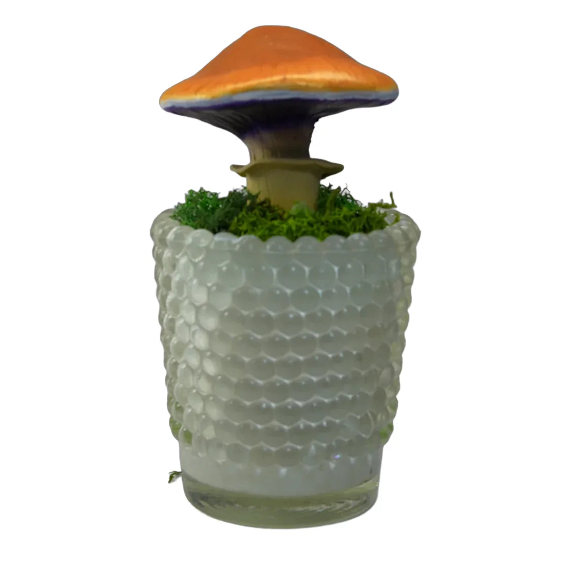 SPY26M1 • Handmade Magic Mushroom Decor on Thrifted Base