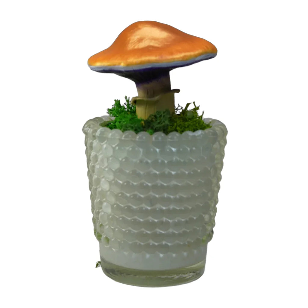 SPY26M1 • Handmade Magic Mushroom Decor on Thrifted Base
