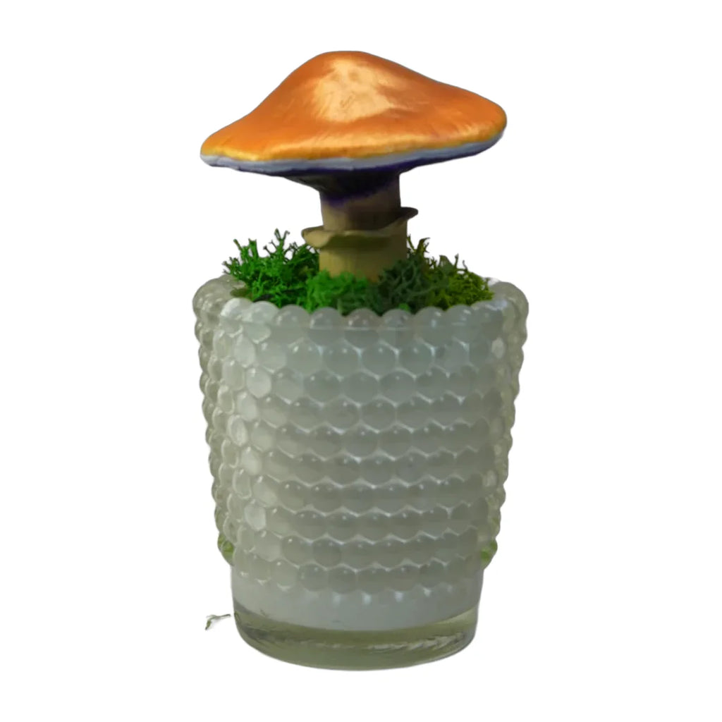 SPY26M1 • Handmade Magic Mushroom Decor on Thrifted Base