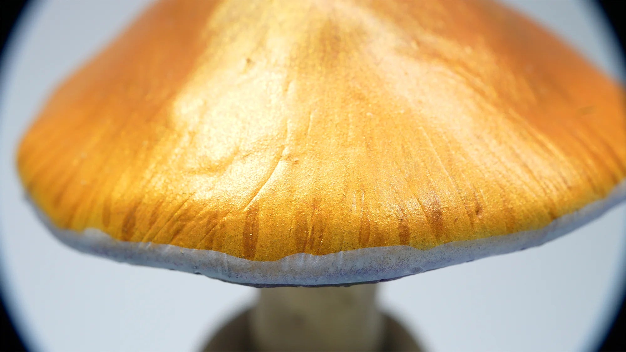 SPY26S8 • Handmade Magic Mushroom Decor Art on Thrifted Glass Base