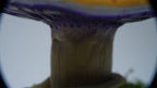 SPY26M5 • Handmade Magic Mushroom Decor Art on Thrifted Glass Base