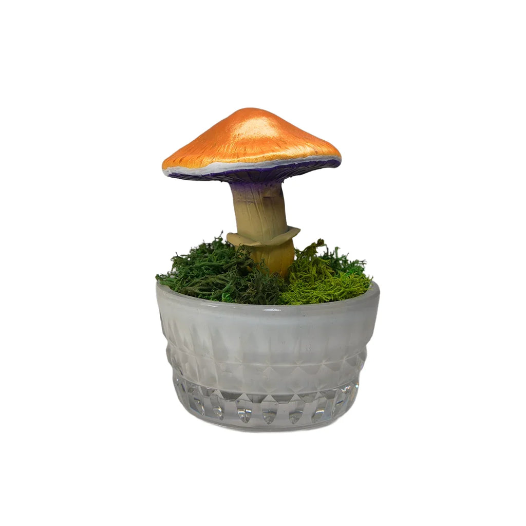 SPY26M5 • Handmade Magic Mushroom Decor Art on Thrifted Glass Base
