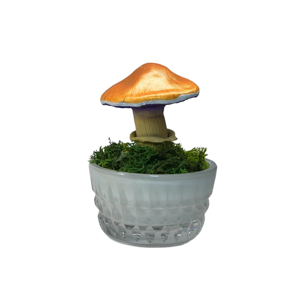 SPY26M5 • Handmade Magic Mushroom Decor Art on Thrifted Glass Base