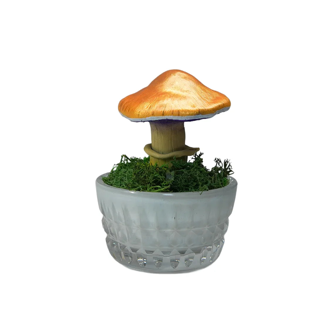 SPY26M5 • Handmade Magic Mushroom Decor Art on Thrifted Glass Base