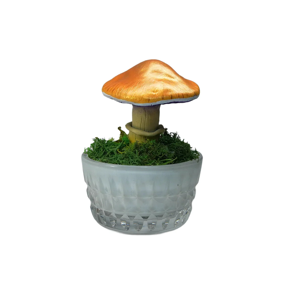 SPY26M5 • Handmade Magic Mushroom Decor Art on Thrifted Glass Base