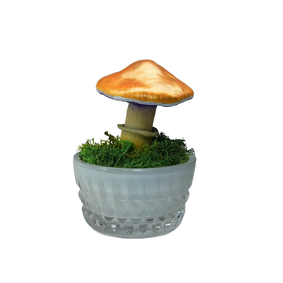 SPY26M5 • Handmade Magic Mushroom Decor Art on Thrifted Glass Base