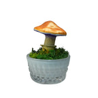 SPY26M5 • Handmade Magic Mushroom Decor Art on Thrifted Glass Base