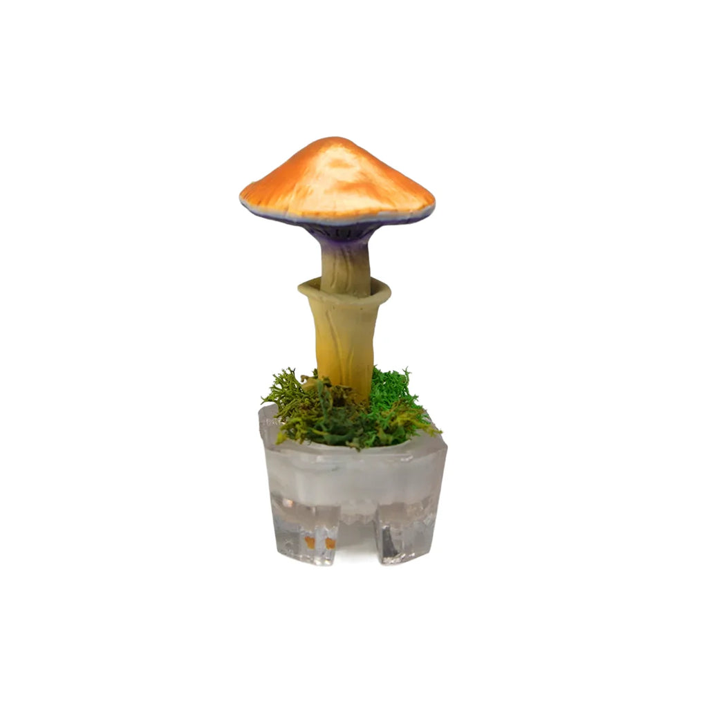 SPY26S8 • Handmade Magic Mushroom Decor Art on Thrifted Glass Base