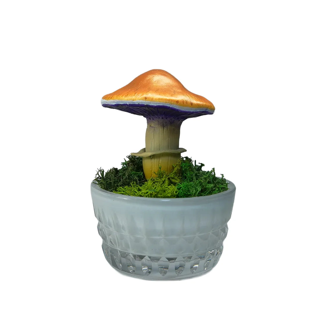 SPY26M5 • Handmade Magic Mushroom Decor Art on Thrifted Glass Base