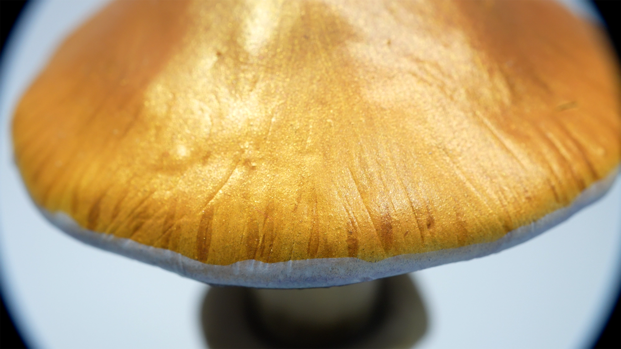 SPY26S7 • Handmade Magic Mushroom Decor on Thrifted Hexagon Glass Base (2 of 2)