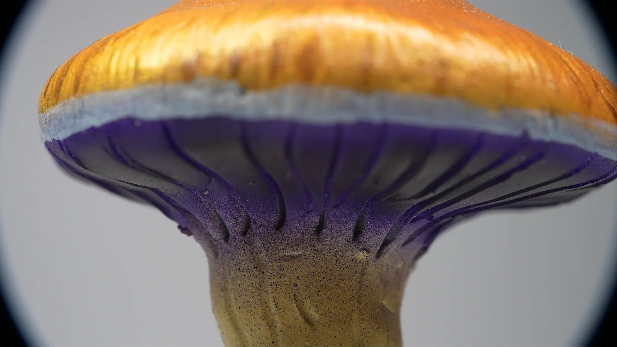 SPY26S4 • Handmade Magic Mushroom Decor on Thrifted Glass Oval Base (2 of 2)