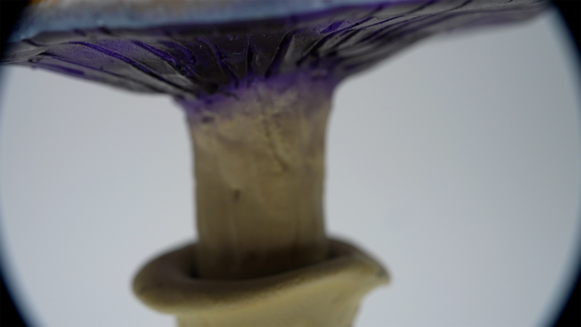 SPY26S7 • Handmade Magic Mushroom Decor on Thrifted Hexagon Glass Base (2 of 2)
