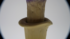 SPY26S7 • Handmade Magic Mushroom Decor on Thrifted Hexagon Glass Base (2 of 2)