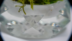 SPY26S7 • Handmade Magic Mushroom Decor on Thrifted Hexagon Glass Base (2 of 2)
