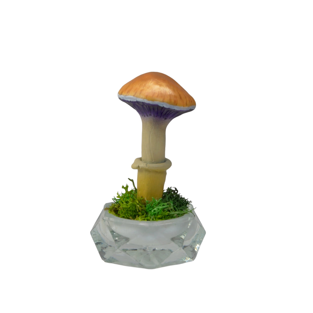 SPY26S7 • Handmade Magic Mushroom Decor on Thrifted Hexagon Glass Base (2 of 2)
