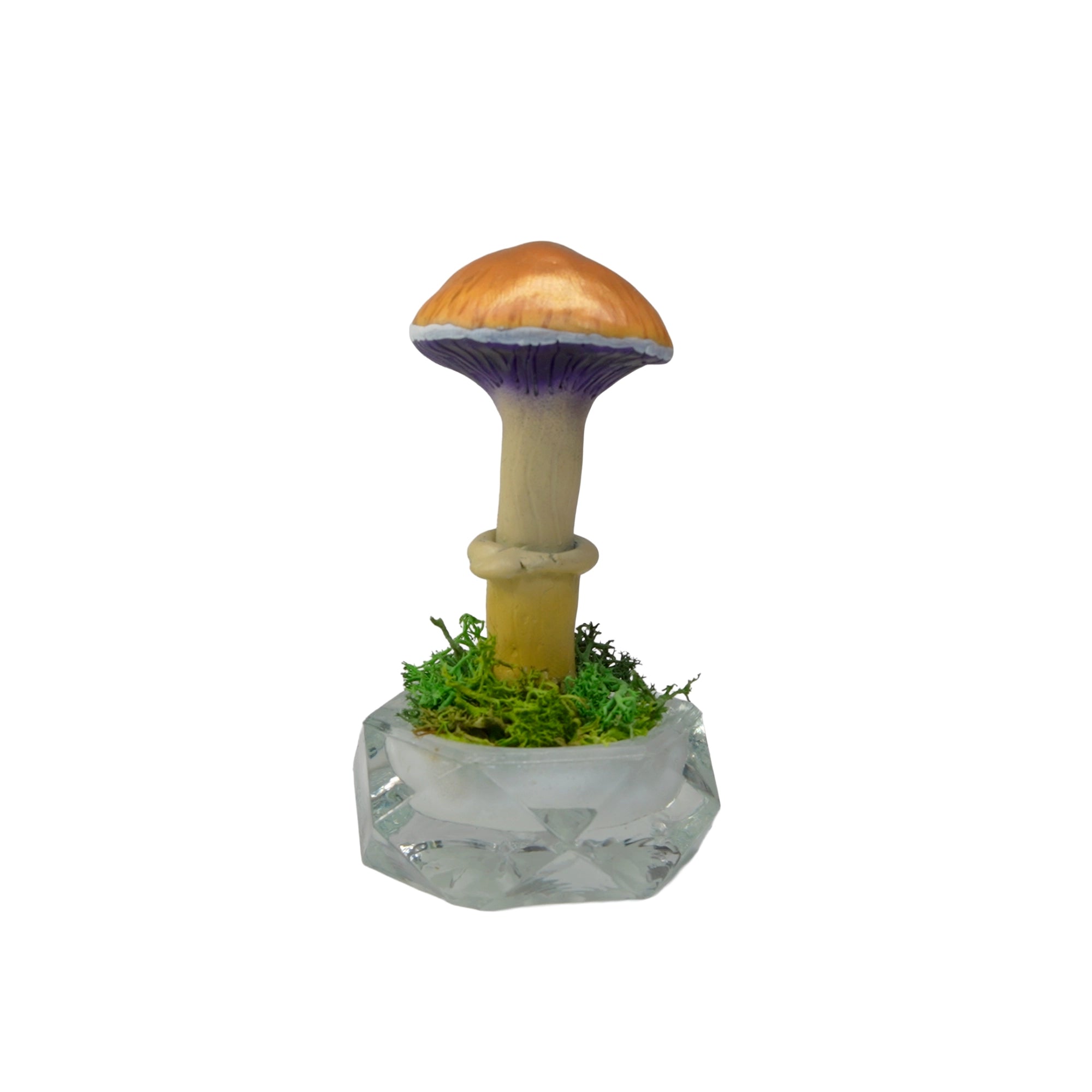 SPY26S7 • Handmade Magic Mushroom Decor on Thrifted Hexagon Glass Base (2 of 2)